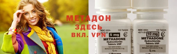 прущие грибы Покров