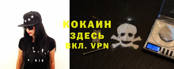 прущие грибы Покров
