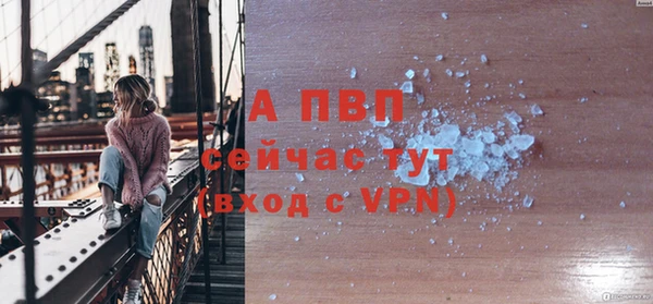прущие грибы Покров
