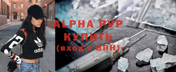 прущие грибы Покров