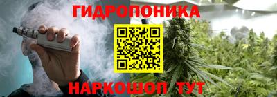 2c-b Канаш