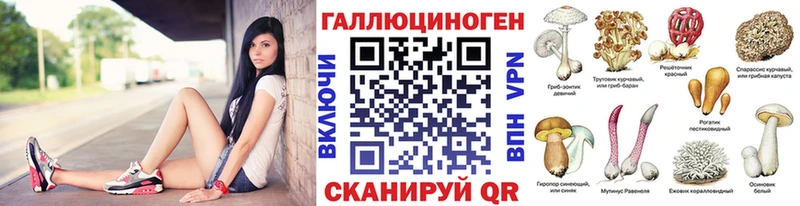 где можно купить наркотик  Свободный  Псилоцибиновые грибы Magic Shrooms 