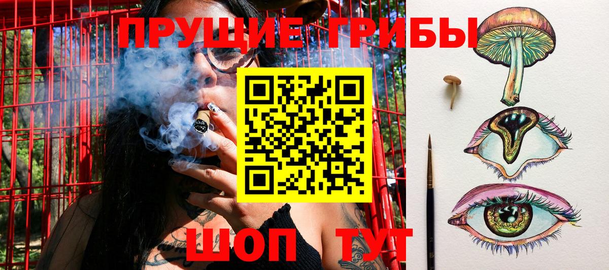Галлюциногенные грибы MAGIC MUSHROOMS  Вход с VPN  Свободный 